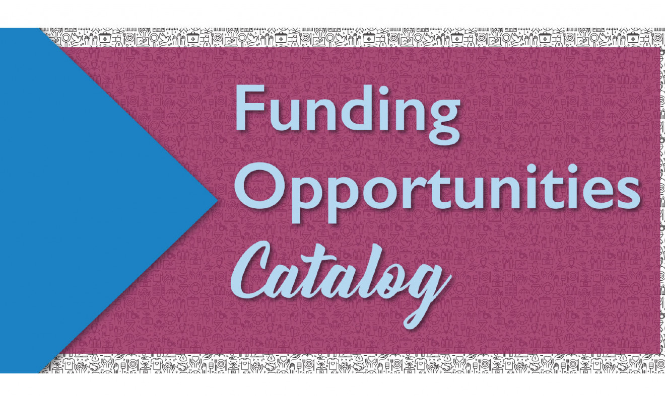 Funding Opportunities Catalog Submission Community Foundation