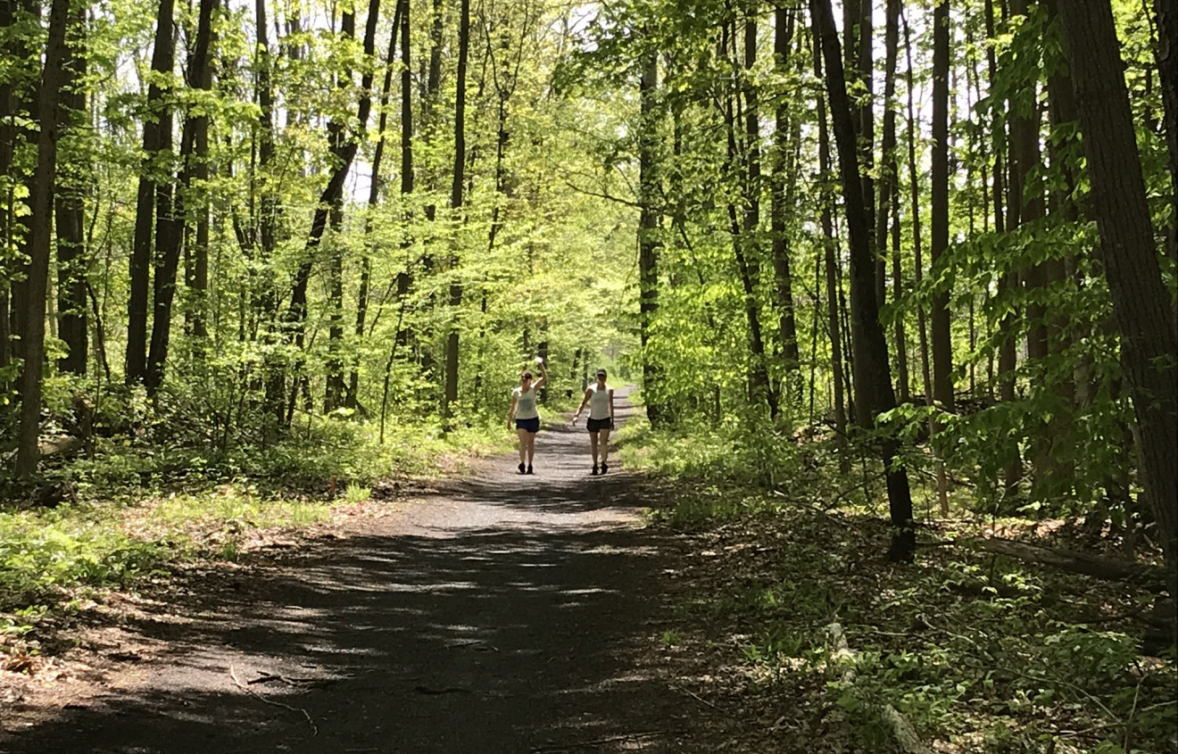 Kirkland Trails Fund Community Foundation