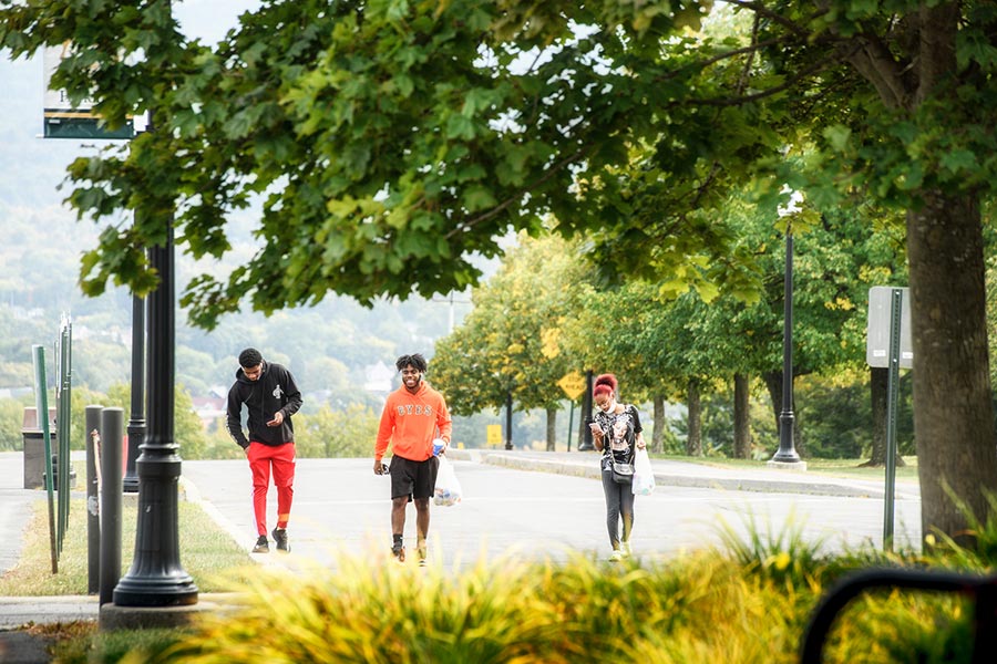 Herkimer County Dev 4