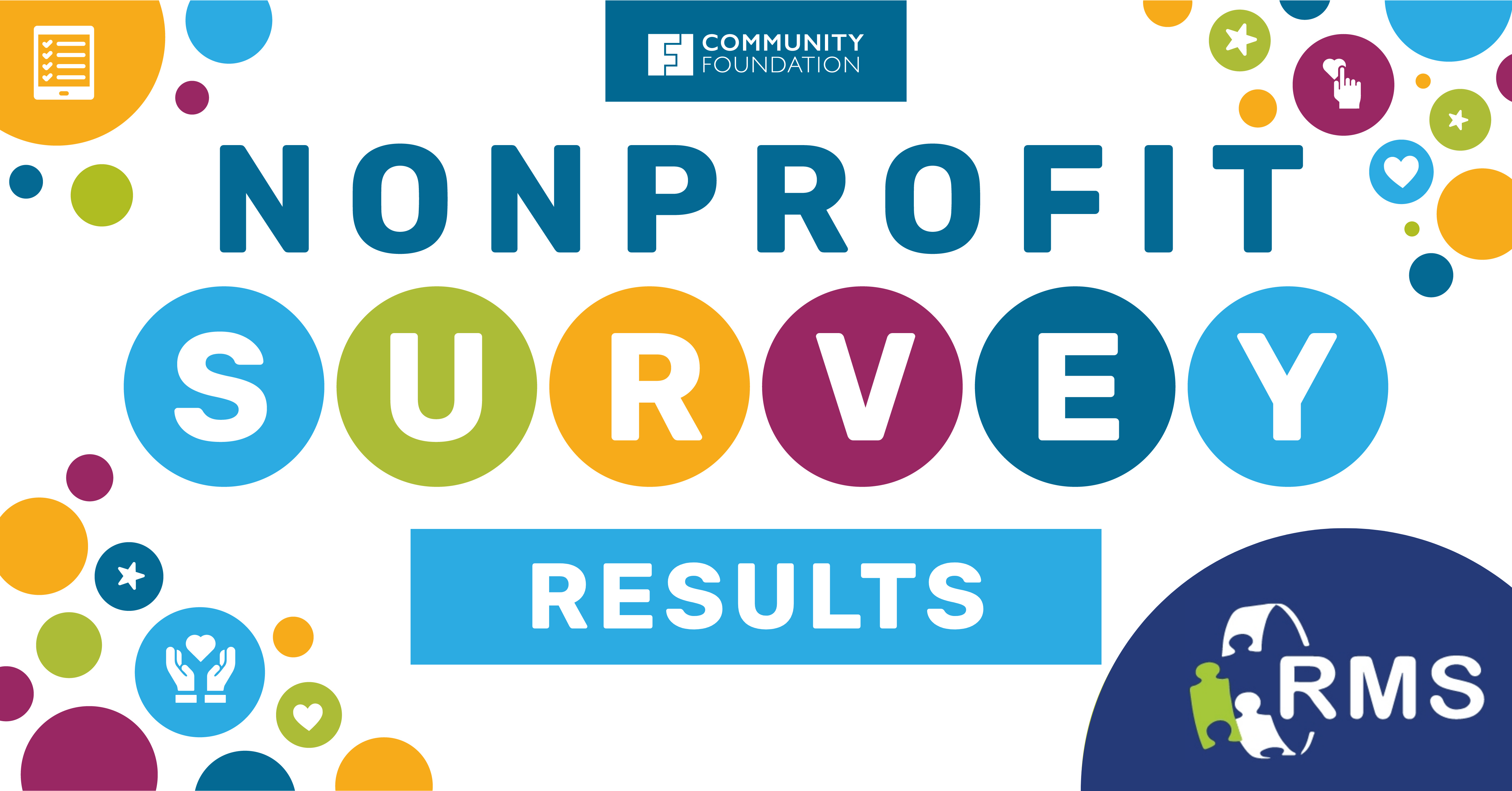 NonprofitSurvey2026 rResults website