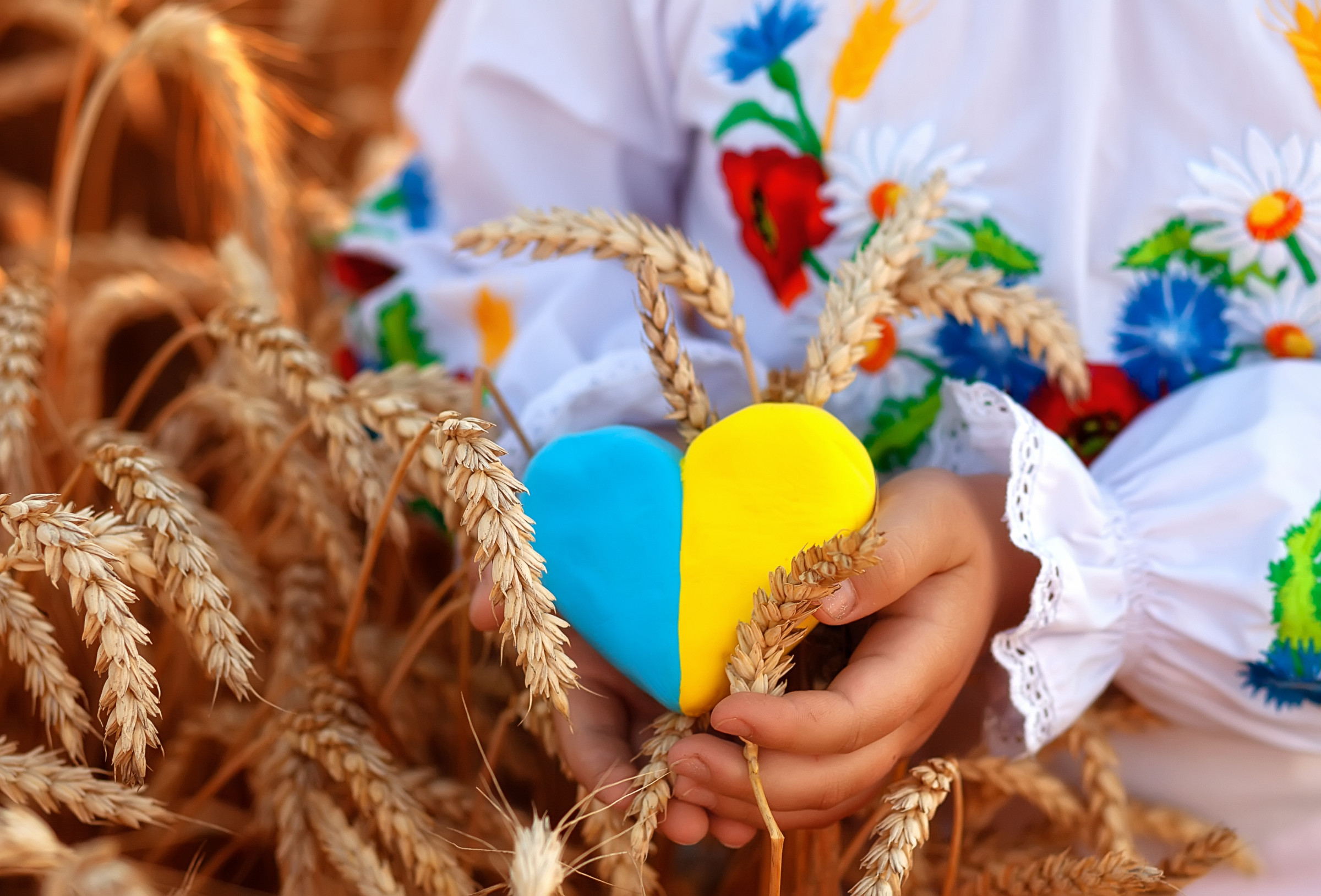 Ukraine Crisis Relief Fund Established To Support Refugees Community 