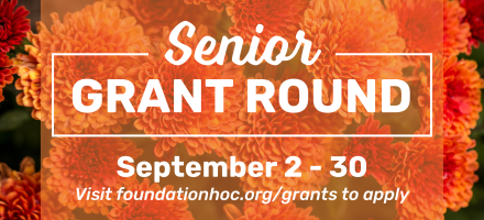 Senior Grant Round 2024 widget 1