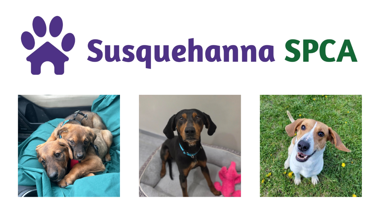 Susquehanna SPCA