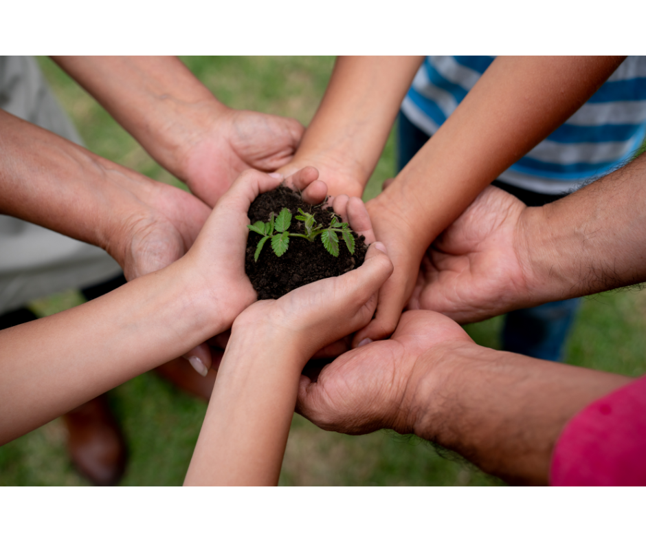 Mohawk Valley Institute for Learning in Retirement