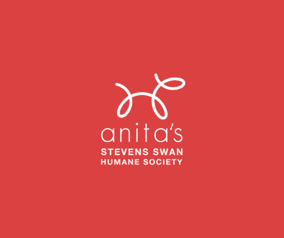 Anita's Stevens Swan Humane Society