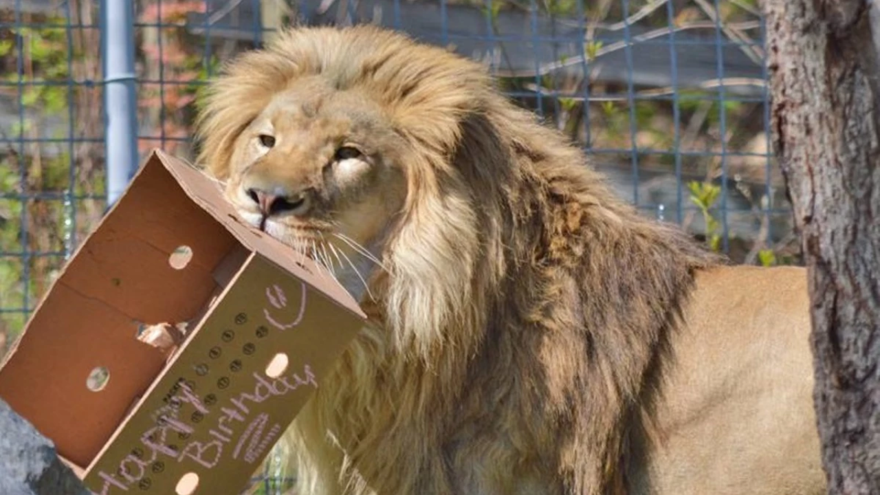 Utica Zoological Society