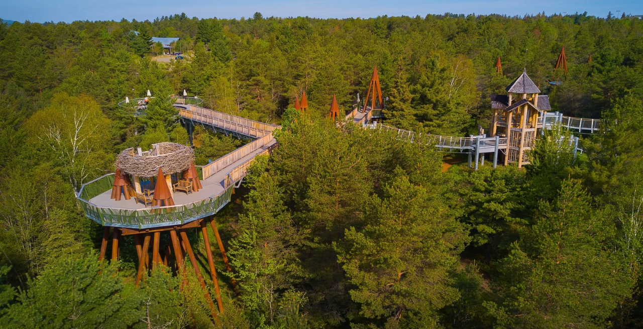 The Wild Center